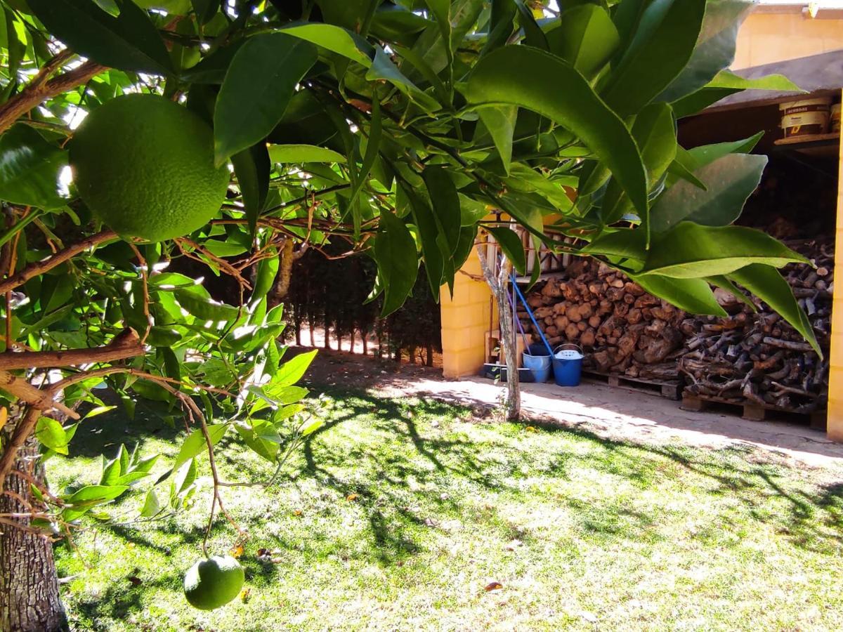 Los Abuelos Setenil De Las Bodegas 外观 照片