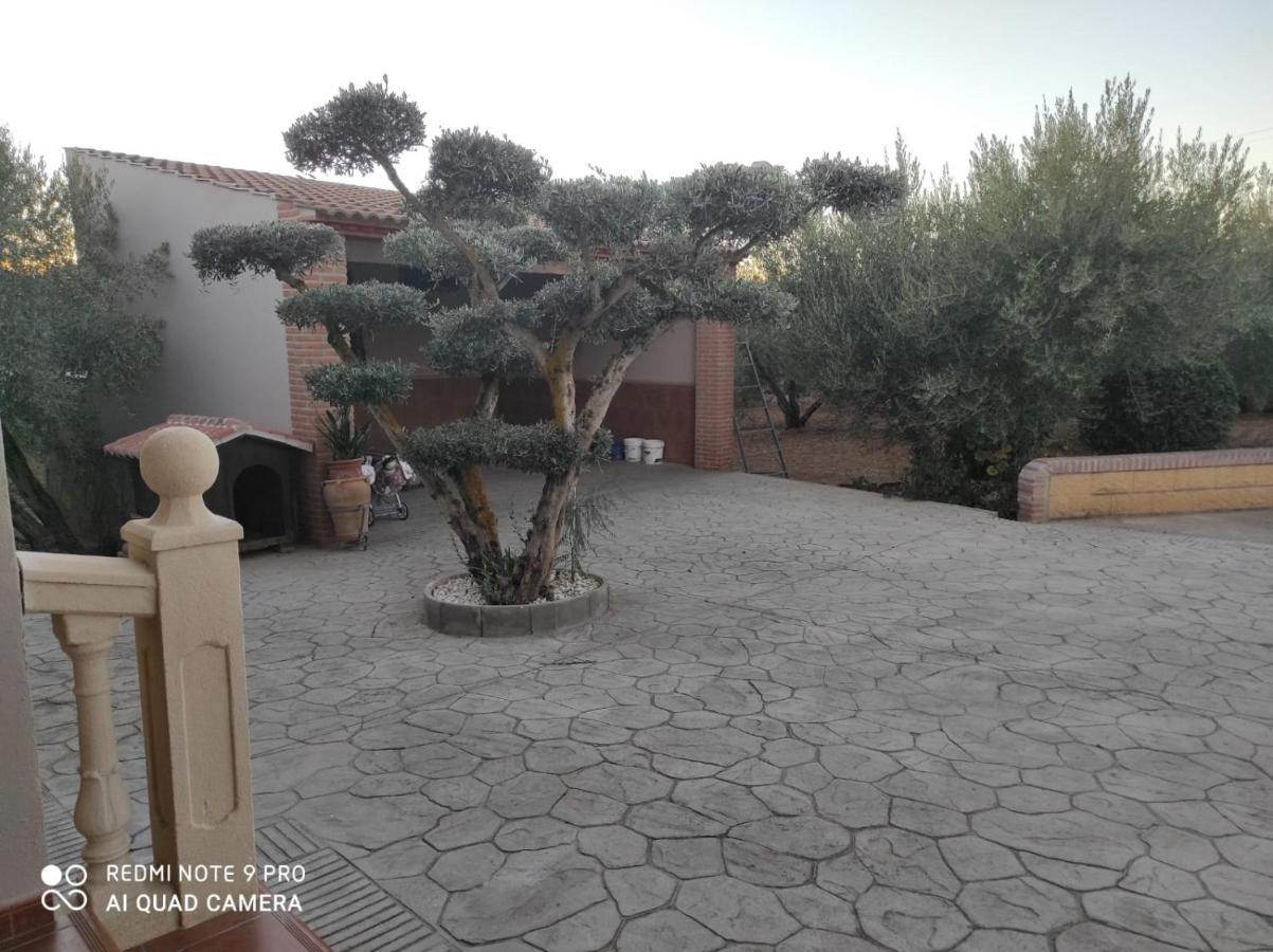 Los Abuelos Setenil De Las Bodegas 外观 照片