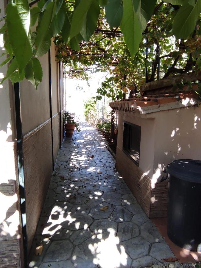 Los Abuelos Setenil De Las Bodegas 外观 照片