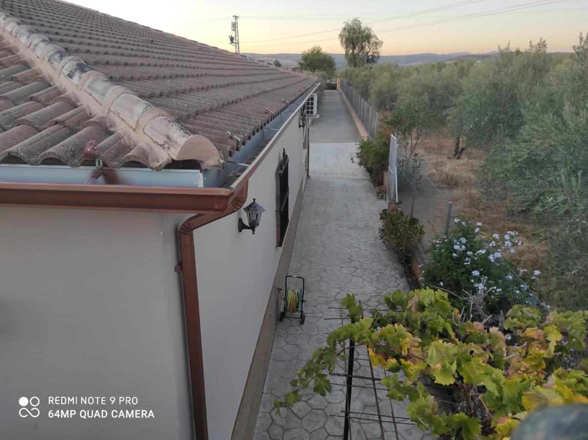 Los Abuelos Setenil De Las Bodegas 外观 照片