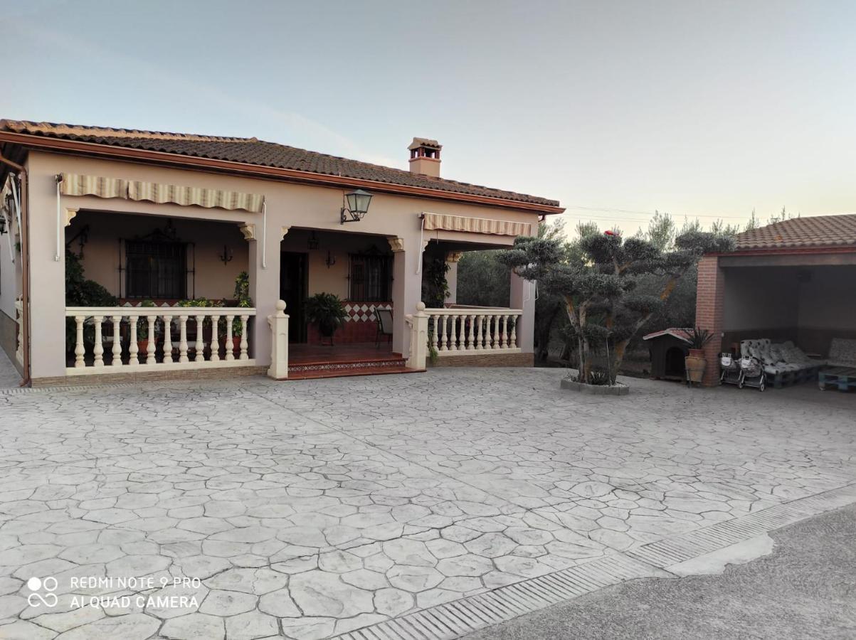 Los Abuelos Setenil De Las Bodegas 外观 照片